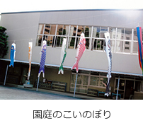 5月画像