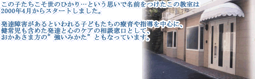ひかりのこの内容